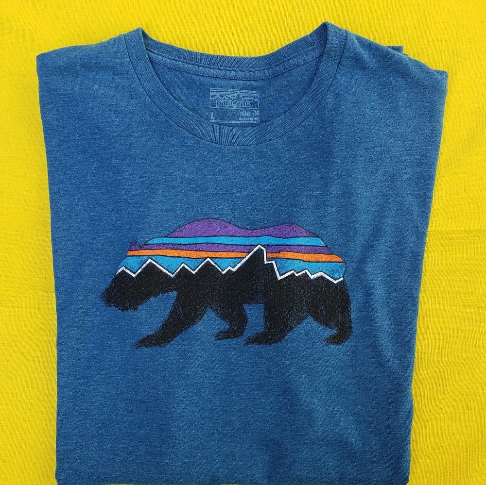 Patagonia Slim Fit Shirt